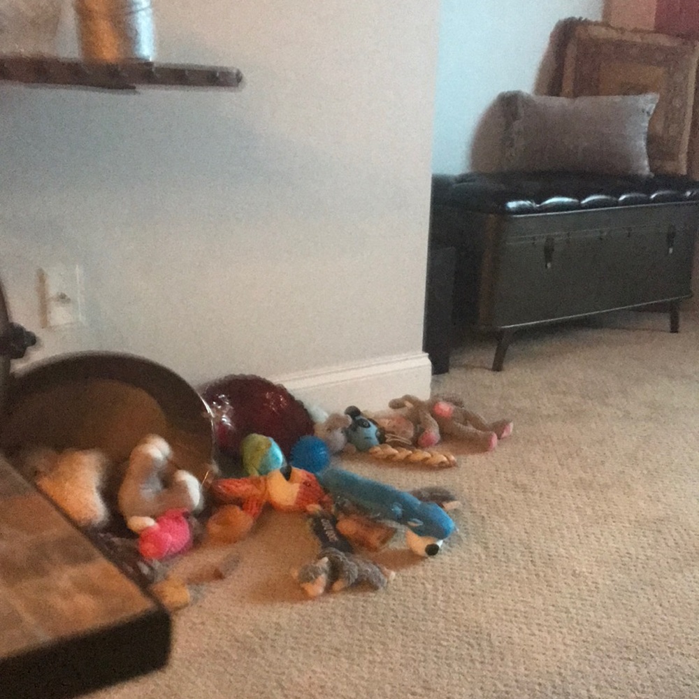 Meet your Posher, Kris